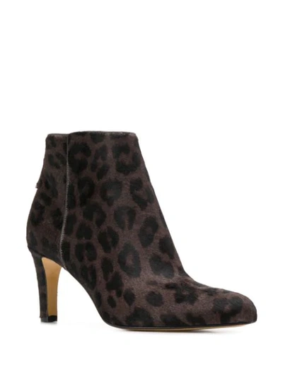 Shop Antonio Barbato Leopard Print Booties In Brown