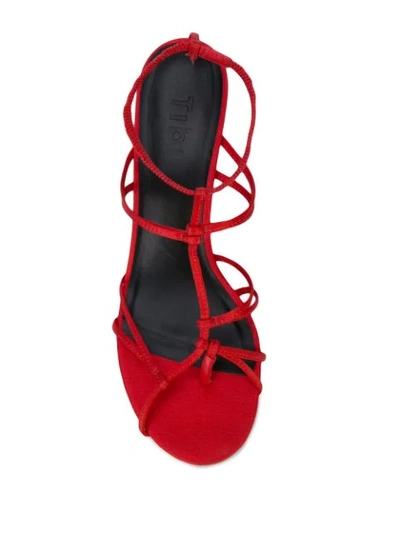 Shop Tibi Gavin Sandals In Red