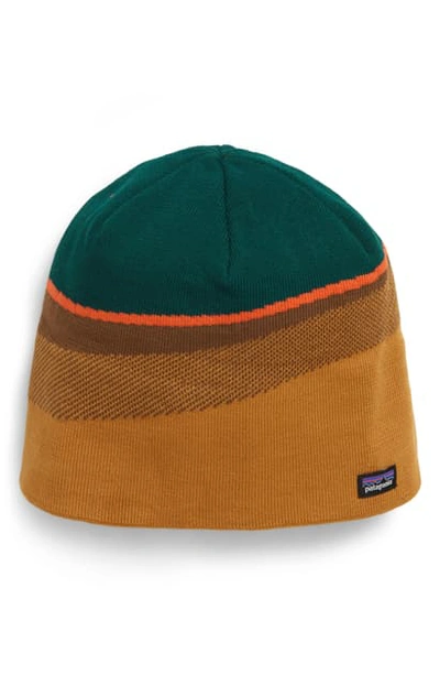 Shop Patagonia Knit Cap In Hammonds Gold