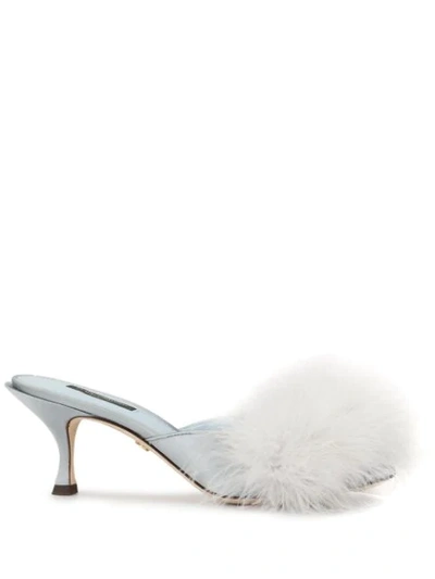 Shop Dolce & Gabbana Feather Detail Mules In Blue