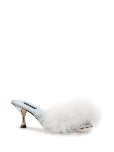 Shop Dolce & Gabbana Feather Detail Mules In Blue