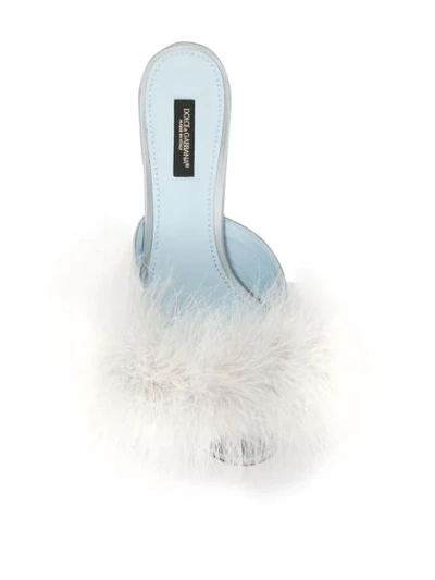 Shop Dolce & Gabbana Feather Detail Mules In Blue