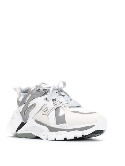 Shop Ash Fl Trekking Sneakers In White