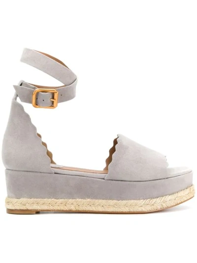 Shop Chloé Lauren Espadrilles In Grey