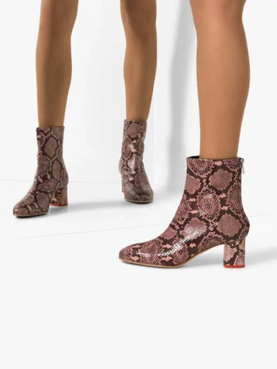 Shop Aeyde Mel Snake-effect 60mm Ankle Boots In Pink