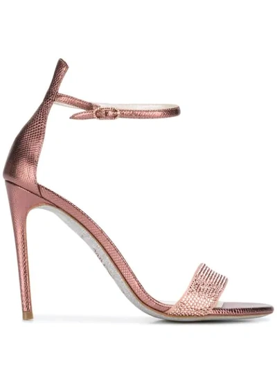 Shop René Caovilla Raka Sandals In Pink