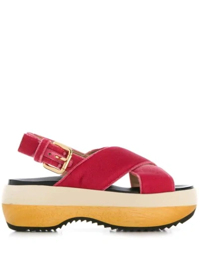 Shop Marni Crisscross Platform Sandals In Pink