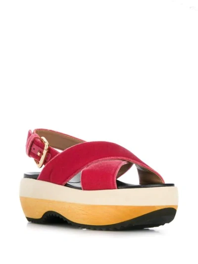 Shop Marni Crisscross Platform Sandals In Pink