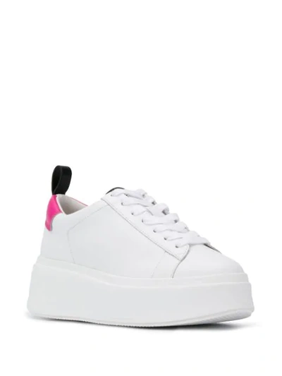 Shop Ash Neon Heel Platform Sneakers In White