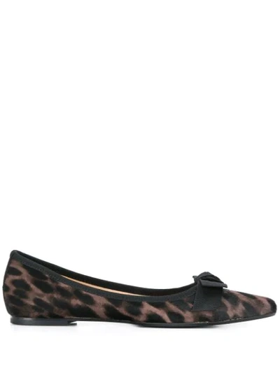 Shop Anna Baiguera Leopard Print Ballerina Shoes In Neutrals