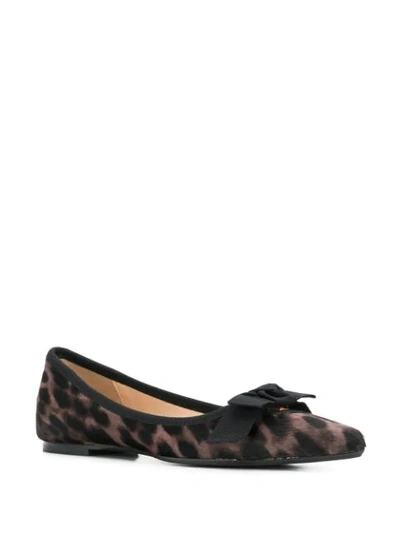 Shop Anna Baiguera Leopard Print Ballerina Shoes In Neutrals