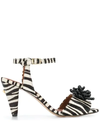 Shop Osman Mae Zebra Sandals In Black