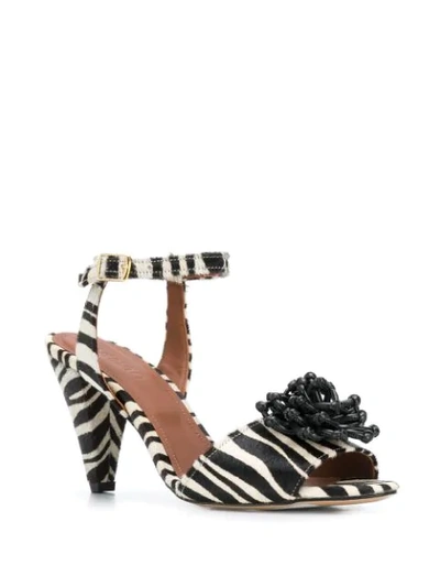 Shop Osman Mae Zebra Sandals In Black