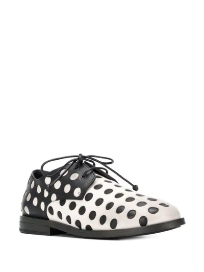 Shop Marsèll Dotted Oxford Shoes In Black