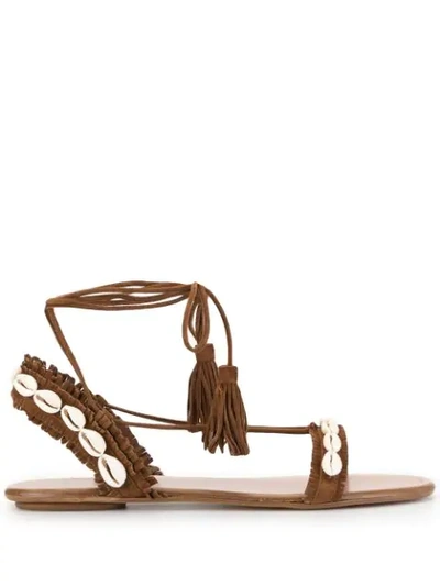 Shop Aquazzura Riviera Shell Embellished Sandals In Brown