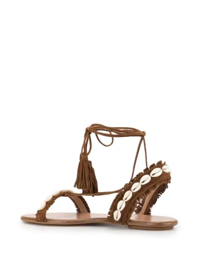 Shop Aquazzura Riviera Shell Embellished Sandals In Brown
