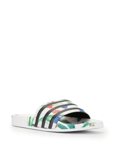 Adidas Originals Adilette Floral Print Slides In White/ Core Black/ White |  ModeSens