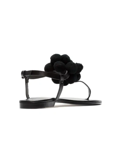 Shop Álvaro González Black Arjan Pom Pom Leather Sandals