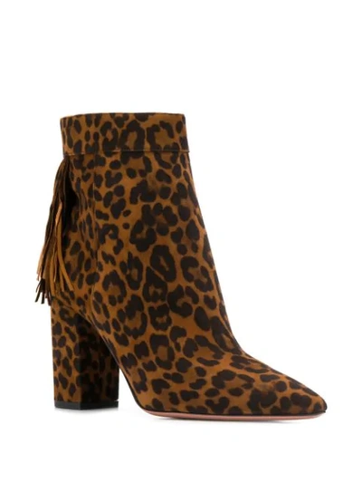 Shop Aquazzura Leopard Ankle Boots In Brown