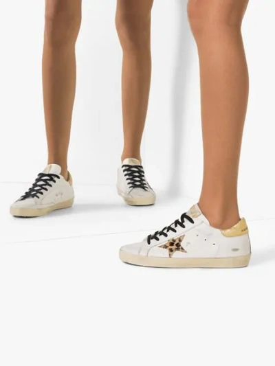 Shop Golden Goose Superstar Leopard-star Sneakers In White