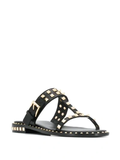 Shop Ash Studded Slides In Black