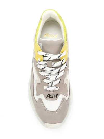 Shop Ash Sneakers Mit Oversized-sohle In Grey