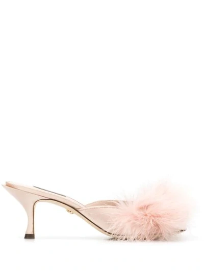 Shop Dolce & Gabbana Faux-feather Mules In Pink