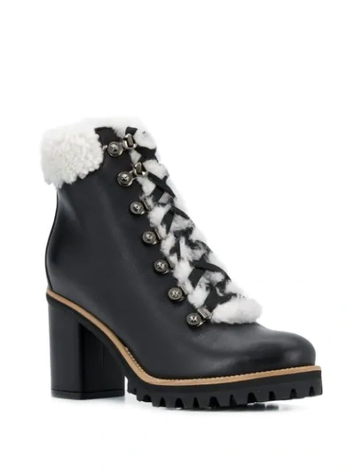 Shop Le Silla Hiking-style Ankle Boots In Black