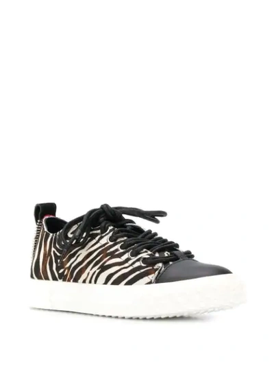 Shop Giuseppe Zanotti Zebra Print Sneakers In Black