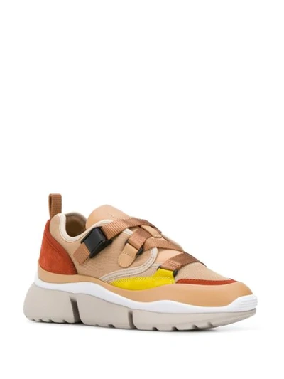 Shop Chloé Sonnie Low-top Sneakers In Neutrals