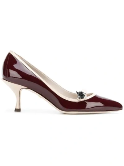 Shop Dolce & Gabbana Contrast Pointed Pumps - Red