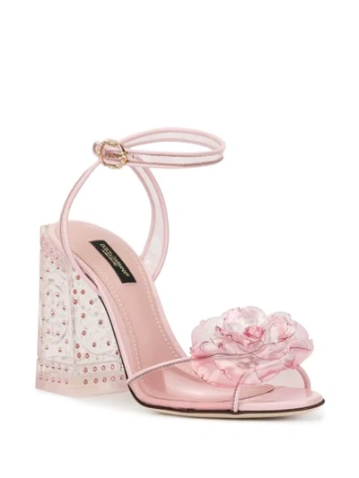 Shop Dolce & Gabbana Keira Flower And Crystal Embellished Sandals In Pink
