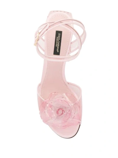 Shop Dolce & Gabbana Keira Flower And Crystal Embellished Sandals In Pink