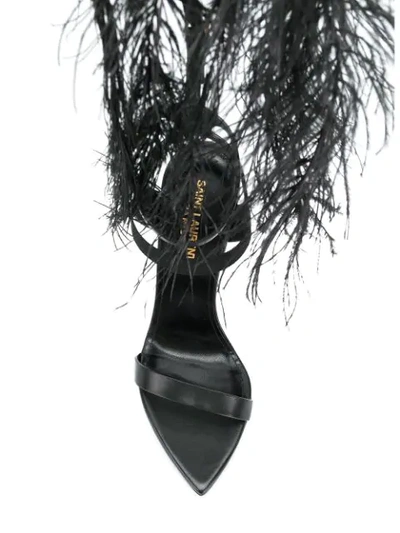 Shop Saint Laurent Ostrich Feather Embellished Sandals  In 1000 Black