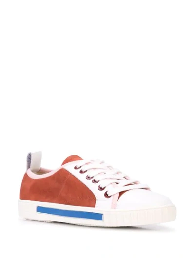 Shop Carven Lace Up Sneakers In Brown