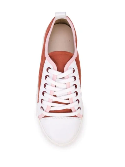 Shop Carven Lace Up Sneakers In Brown