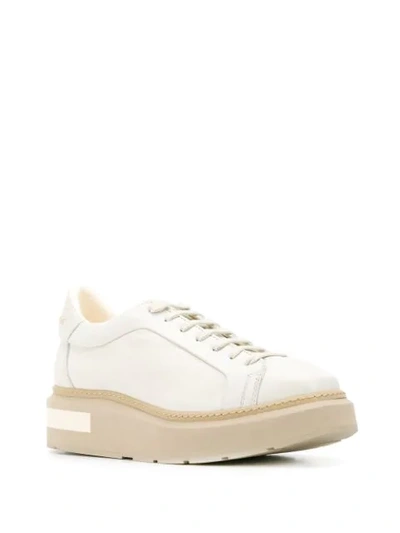 Shop Paloma Barceló Platform Low Top Sneakers In White