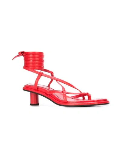 Shop Proenza Schouler Strappy Mid Heel Sandals In Red