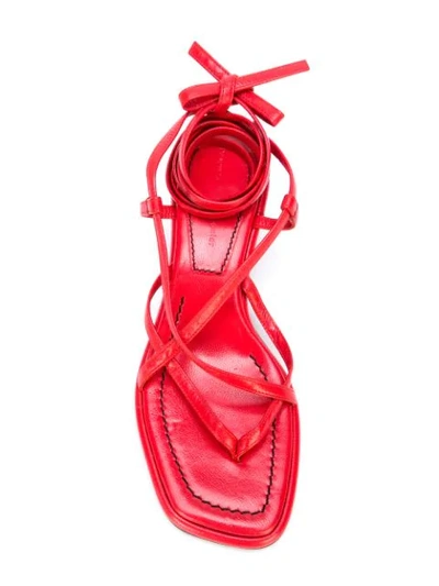 Shop Proenza Schouler Strappy Mid Heel Sandals In Red