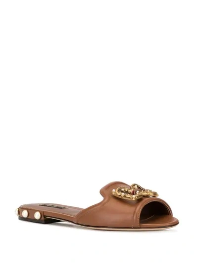 Shop Dolce & Gabbana Slip-on Sandals In Brown