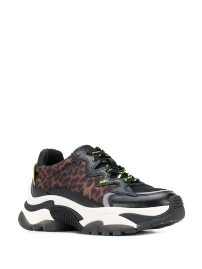 ASH ANIMAL PRINT SNEAKERS - 黑色