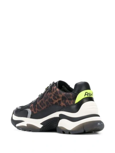 ASH ANIMAL PRINT SNEAKERS - 黑色