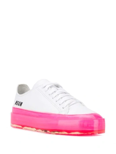 Shop Msgm Platform Sole Sneakers In White