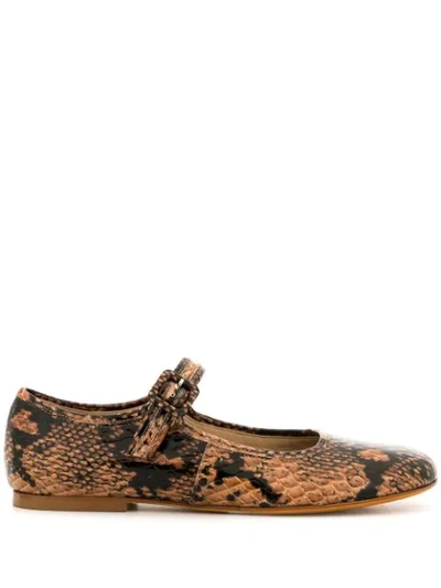 Shop Maryam Nassir Zadeh Thelma Flat Ballerinas In Brown