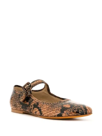 Shop Maryam Nassir Zadeh Thelma Flat Ballerinas In Brown