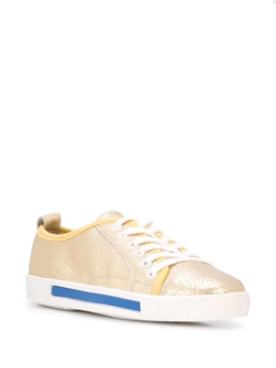 Shop Carven Lace Up Sneakers In Gold