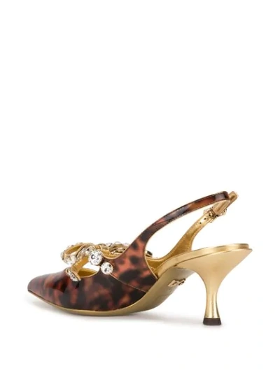 Shop Dolce & Gabbana Tortoiseshell Crystal Embellished Pumps In Gold