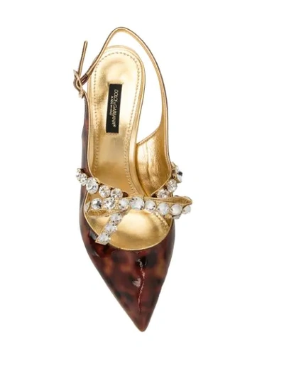 Shop Dolce & Gabbana Tortoiseshell Crystal Embellished Pumps In Gold