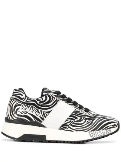 Shop Versace Zebra Print Achilles Sneakers In Black