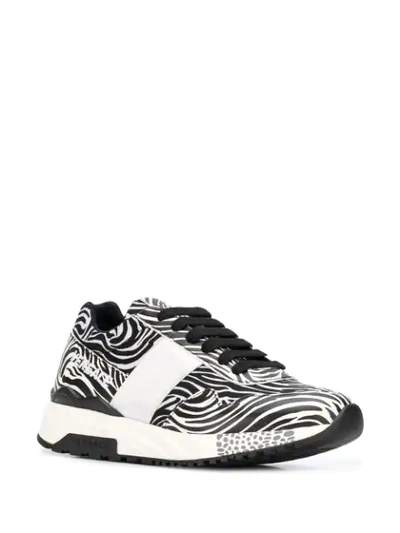 Shop Versace Zebra Print Achilles Sneakers In Black